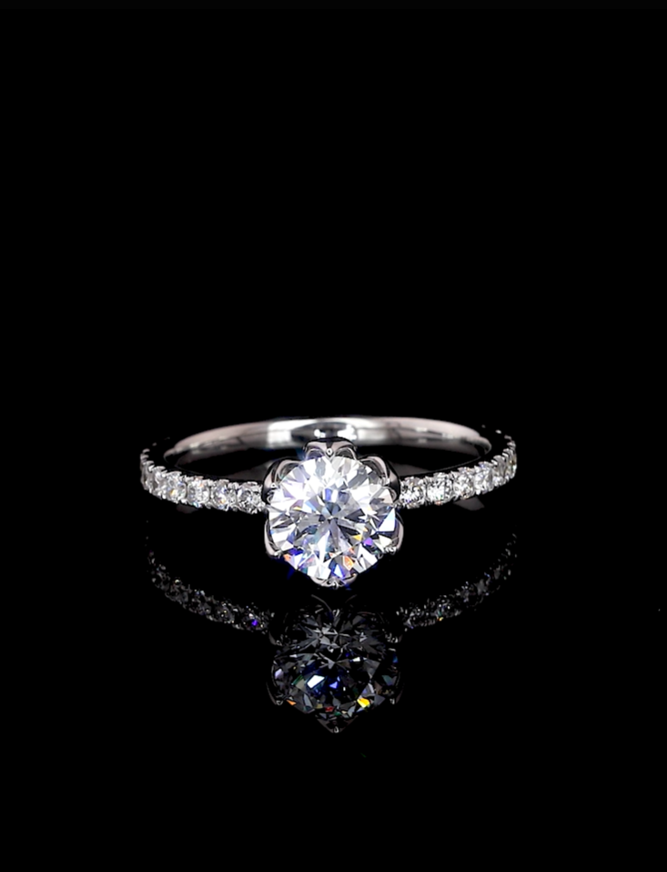 Philippa Round Unique Moissanite Engagement Ring