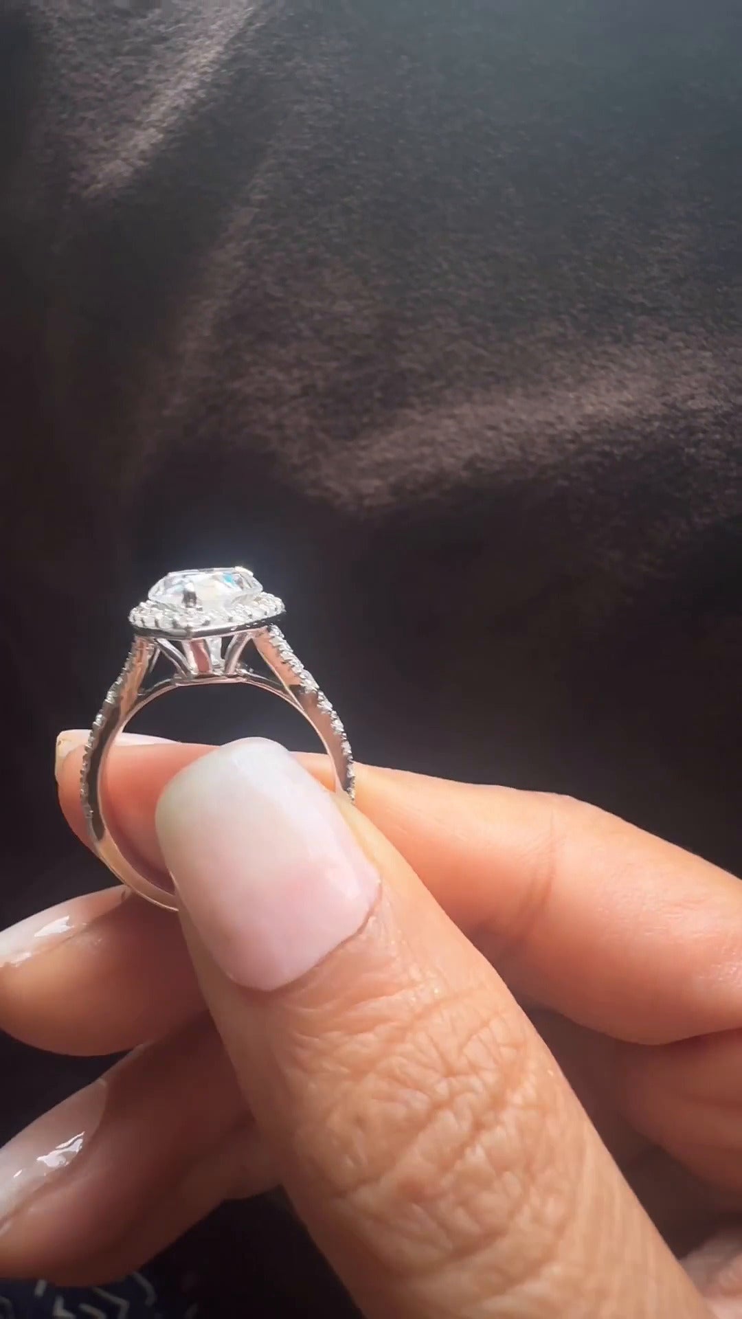 Dove Pear Halo Moissanite Engagement Ring