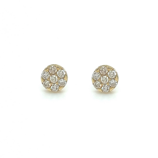 0.50Ct Moissanite Stud Earrings