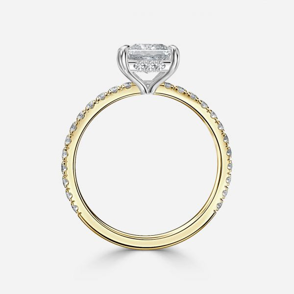 Norah Princess Hidden Halo Moissanite Engagement Ring